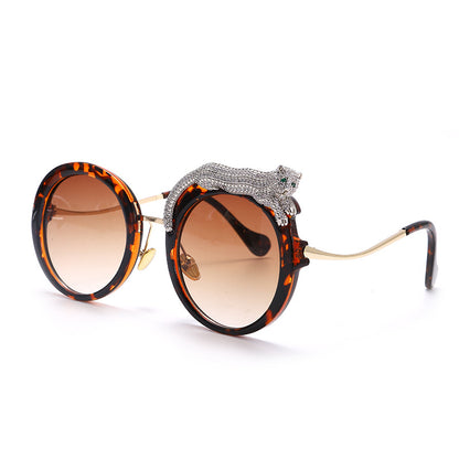 نظارات شمسية نظارات شمسية للرجال نظارات شمسية من سبيكة للرجال نظارات شمسية للنساء نظارات ملونة